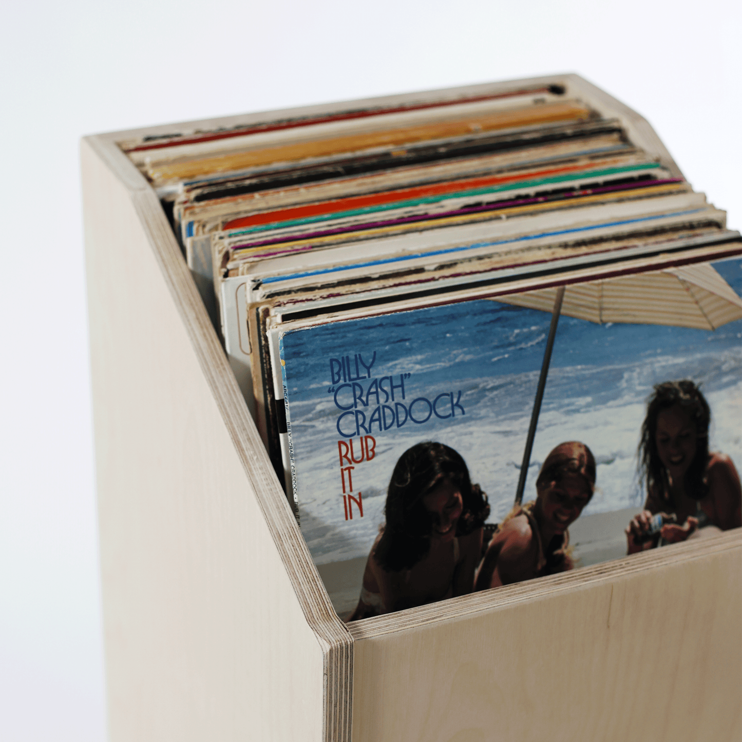 The Standard Vinyl Record Storage Bin