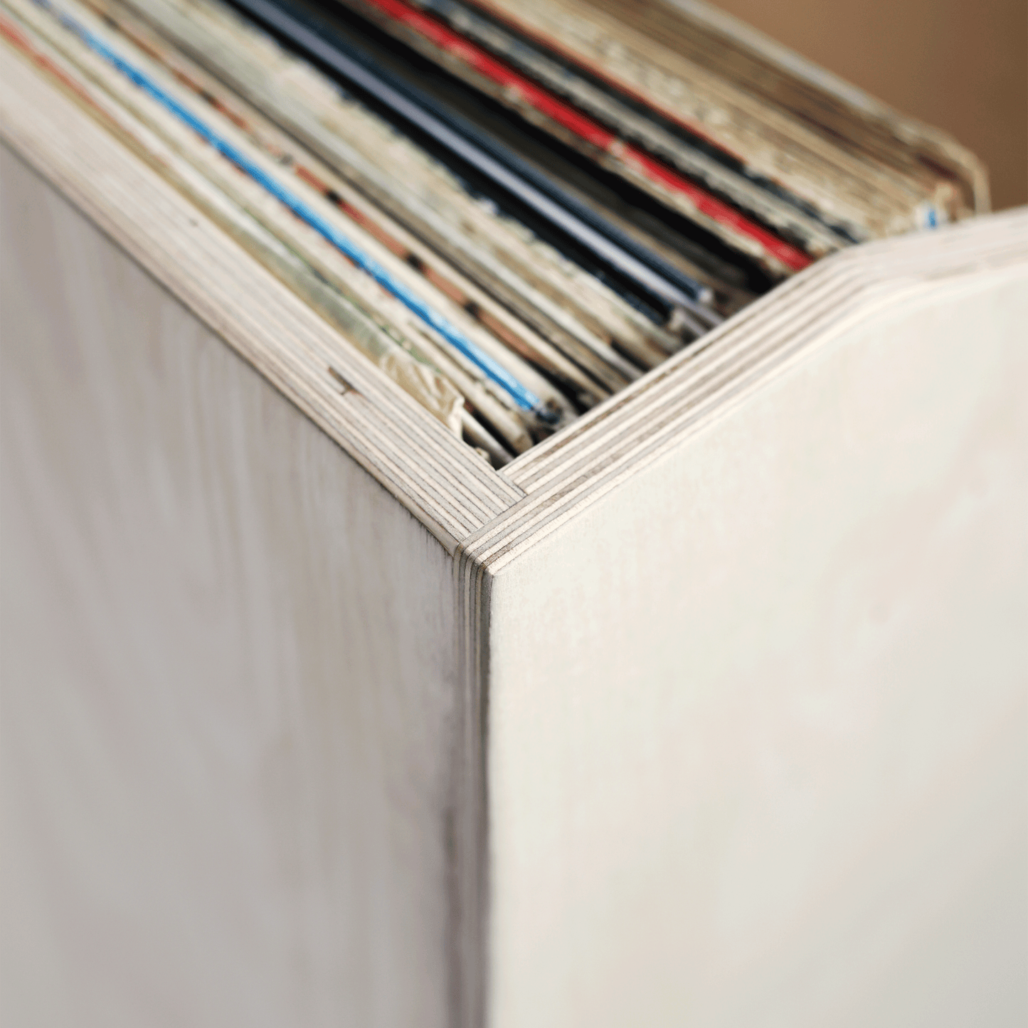 The Standard Vinyl Record Storage Bin