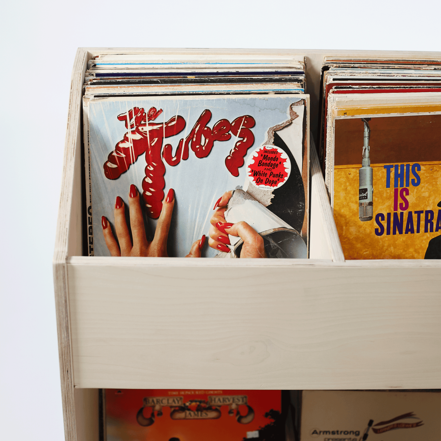 The Ultra Vinyl Record Storage Bin